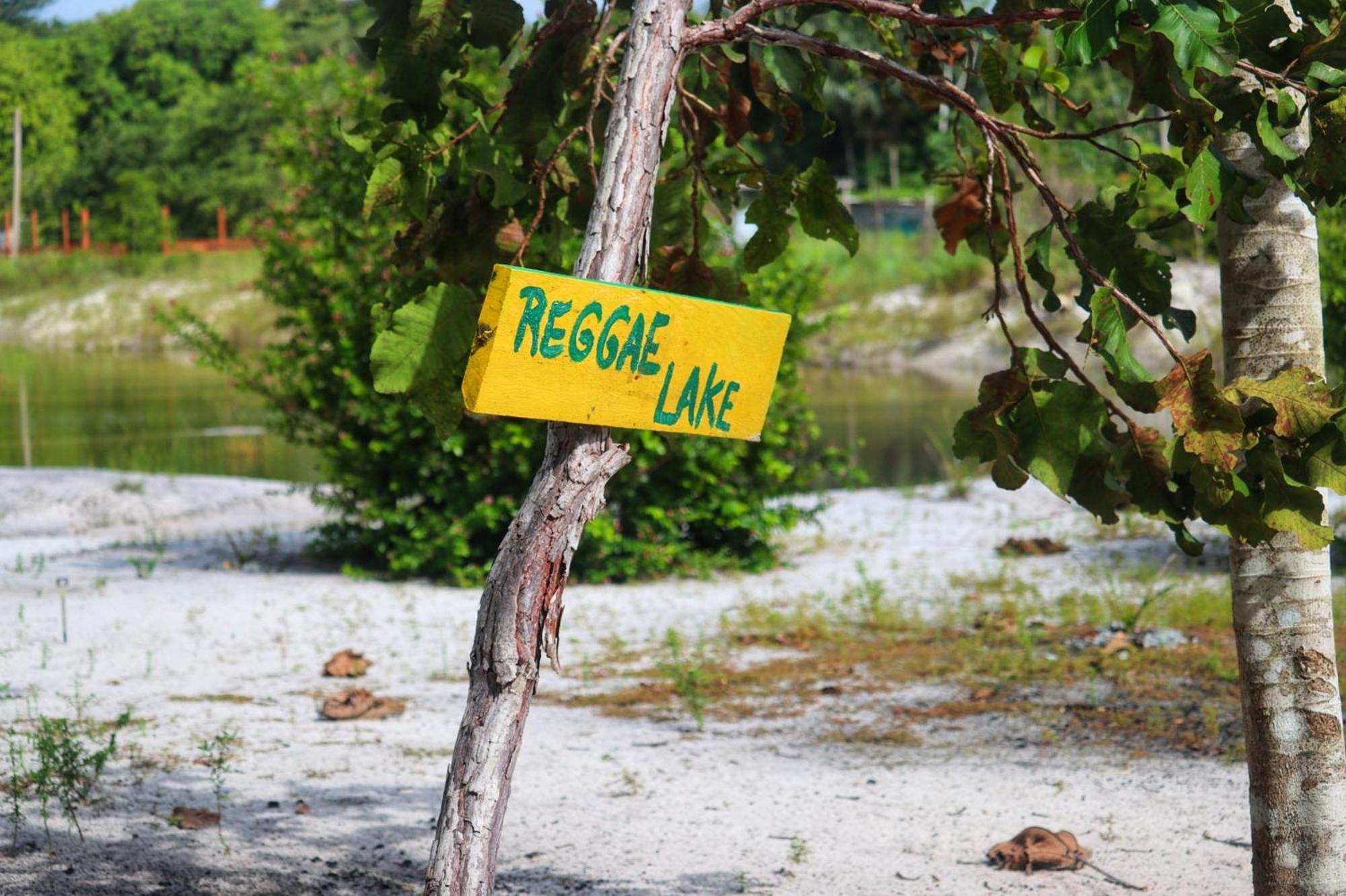 Land Of Promise - Reggae Bar & Eco Village Zanderij Eksteriør bilde